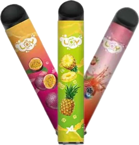LOY Disposable Vape LOY XL 1500 Disposable Vape image 1
