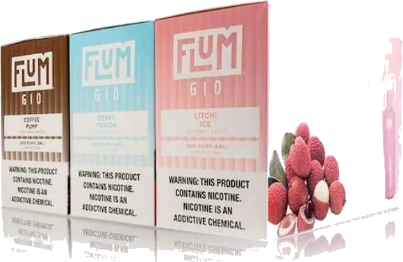 FLUM Vapes Flum Gio Vape image 1