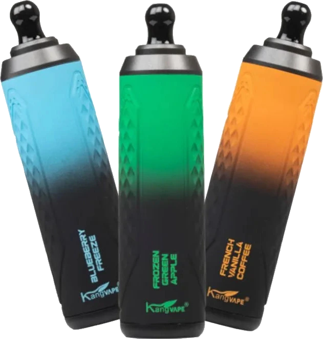 KangVape Disposable Vape Kangvape Onee Stick 5500 Vape image 1