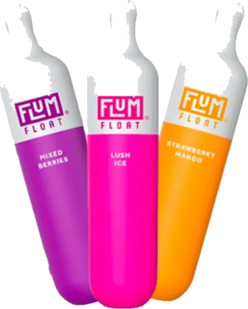 FLUM Vapes Flum Float Vape image 1